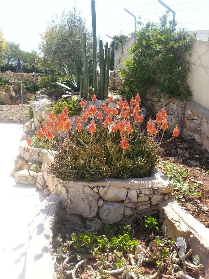 Villa Ca Del Mar Morciano di Leuca Exteriör bild