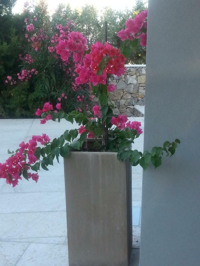 Villa Ca Del Mar Morciano di Leuca Exteriör bild