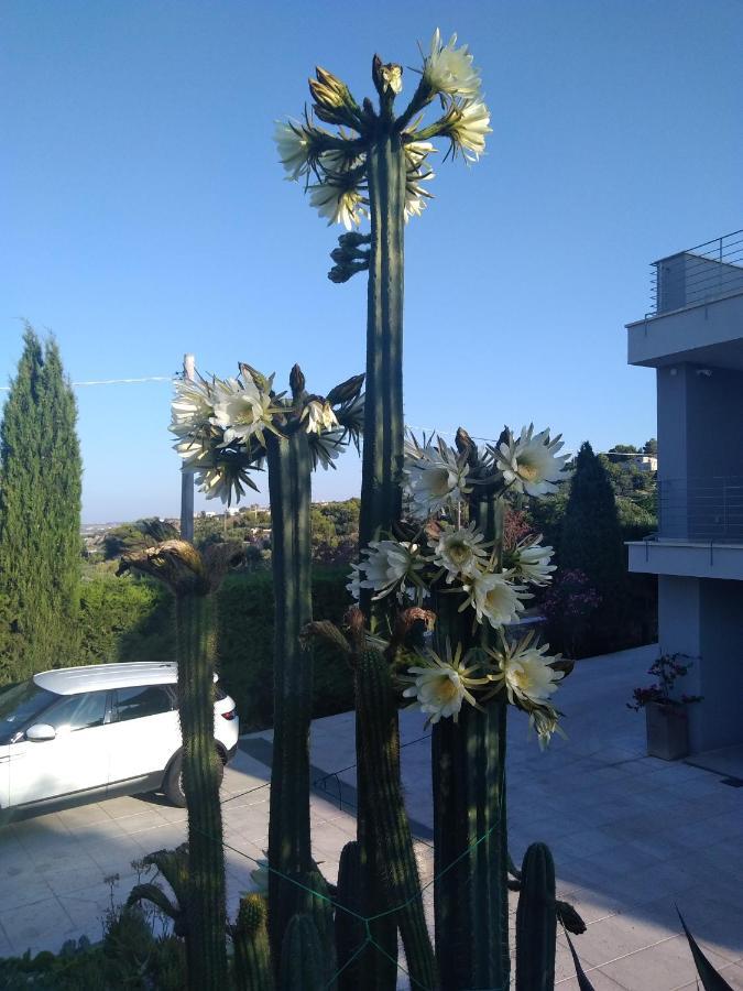 Villa Ca Del Mar Morciano di Leuca Exteriör bild